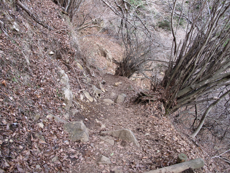20151228hike (257)